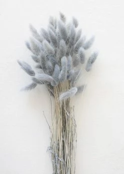 Afloral Blue Grey Dried Bunny Tails - 22-30"