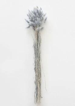 Afloral Blue Grey Dried Bunny Tails - 22-30"