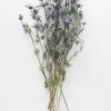 Afloral Dried Flowers Dried Eryngium Sea Holly Flowers - 15-22"