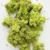 Afloral Bright Green Preserved Reindeer Moss - 1 Lb