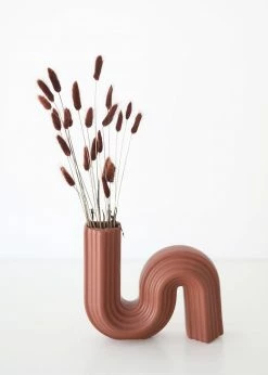 Afloral Dried Flowers Dried Bunny Tails In Walnut - 22-30