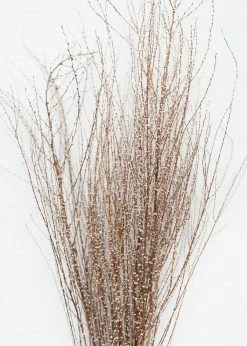 Afloral Dried Hoary Willow Branches - 20-30"