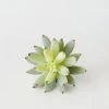 Afloral Artificial Plants Artificial Flocked Succulents Agave Cactus - 4"