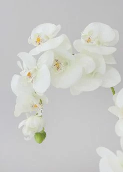 Afloral Artificial Flowers Cream Real Touch Phalaenopsis Orchids - 28