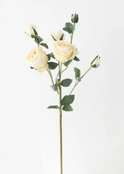 Afloral Faux Dried Rose In Cream - 27.5