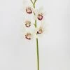 Afloral Cream Burgundy Faux Cymbidium Orchid - 31"