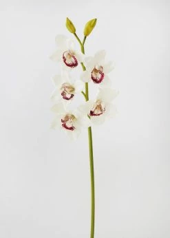 Afloral Cream Burgundy Faux Cymbidium Orchid - 31"