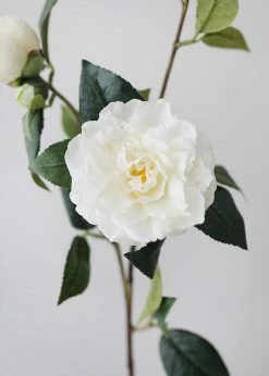 Afloral Real Touch Camellia Roses In Cream White - 35" Artificial Flowers