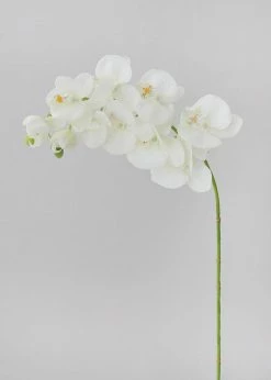 Afloral Artificial Flowers Cream Real Touch Phalaenopsis Orchids - 28"