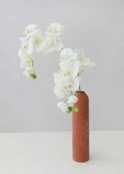 Afloral Artificial Flowers Cream Real Touch Phalaenopsis Orchids - 28"