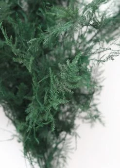 Afloral Dried Flowers Preserved Greenery Asparagus Fern - 22-34"