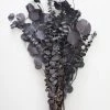 Afloral Preserved Black Purple Mixed Eucalyptus Bundle - 22-32" Dried Flowers
