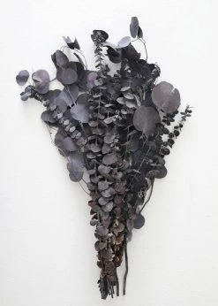 Afloral Preserved Black Purple Mixed Eucalyptus Bundle - 22-32" Dried Flowers