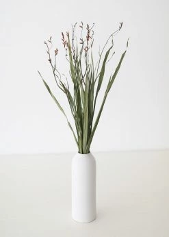 Afloral Dried Orchid Grass With Orange Buds - 22-28" Dried Flowers