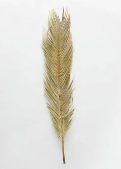 Afloral Bundle Of 3 Natural Cycas Palms - 30-36