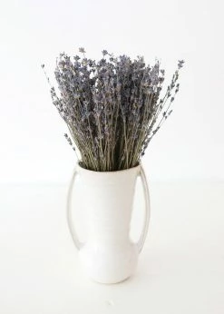 Afloral Dried Fragrant Lavender Bundle - 6-14