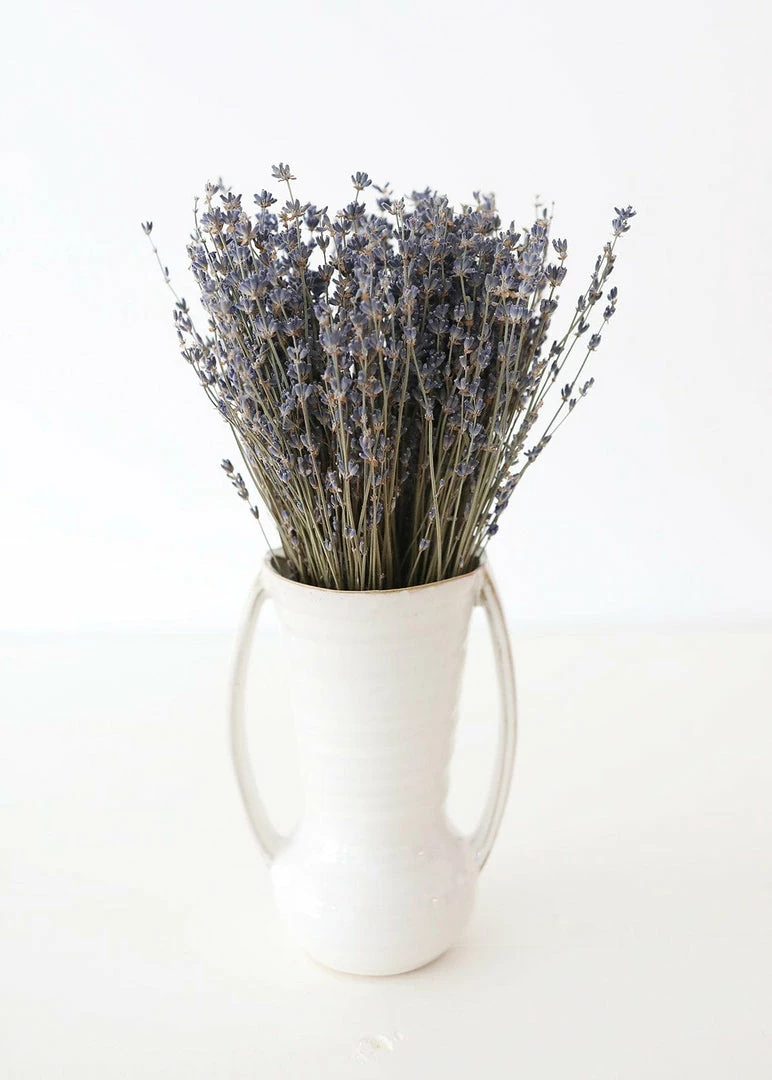 Afloral Dried Fragrant Lavender Bundle - 6-14" Dried Flowers