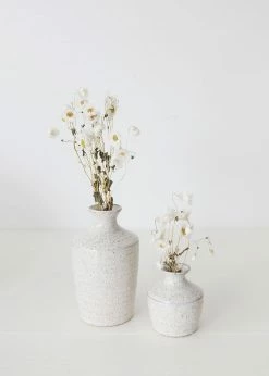 Afloral White Preserved Rodanthe Flowers - 22-28