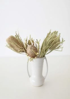 Afloral Bundle Of 2 Dried Banksia Protea Flowers - 12-16