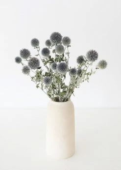 Afloral Dried Flowers Blue Dried Echinops Globe Thistles - 16-22