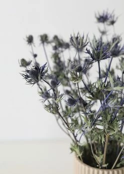 Afloral Dried Flowers Dried Eryngium Sea Holly Flowers - 15-22"