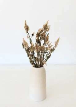 Afloral Dried Celosia Flowers In Terracotta