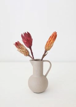 Afloral Bundle Of 3 Dried Protea Repens - 13-15