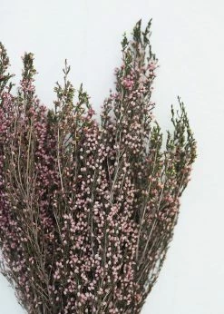 Afloral Naturally Preserved Heather Flowers - 15-20"