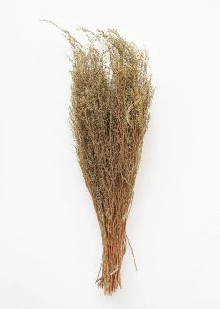 Afloral Natural Solidago Goldenrod Dried Flowers - 12-20"