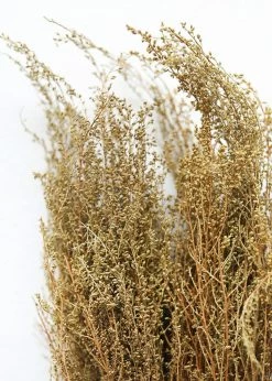 Afloral Natural Solidago Goldenrod Dried Flowers - 12-20"