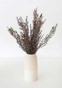 Afloral Naturally Preserved Heather Flowers - 15-20