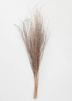 Afloral Dried Hoary Willow Branches - 20-30