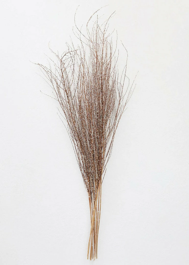 Afloral Dried Hoary Willow Branches - 20-30"