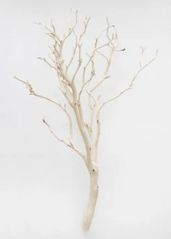 Afloral Dried Flowers Dried Decor Sandblasted Manzanita Branch - 34-38"