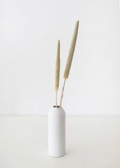 Afloral Dried Pearl Millet Grass - 24-28"