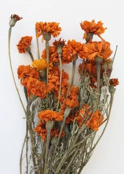 Afloral Dried Flowers Orange Dried Marigold Flowers - 14-22