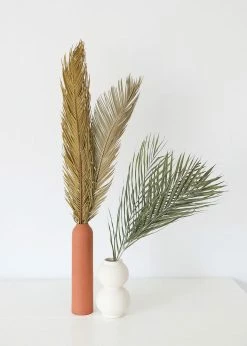 Afloral Bundle Of 3 Natural Cycas Palms - 30-36