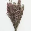 Afloral Naturally Preserved Heather Flowers - 15-20"