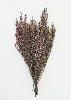 Afloral Naturally Preserved Heather Flowers - 15-20"