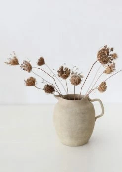 Afloral Natural Dried Queen Anne's Lace - 15-26