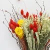 Afloral Mixed Bouquet Of Dried Flowers - 14-24"