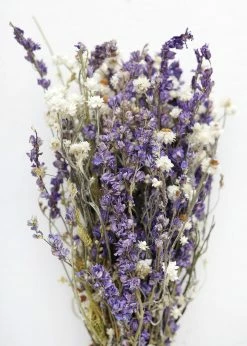 Afloral Larkspur And Daisy Dried Bouquet - 14-18