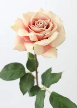 Afloral Dusty Pink Mauve Real Touch Dutchess Rose - 20