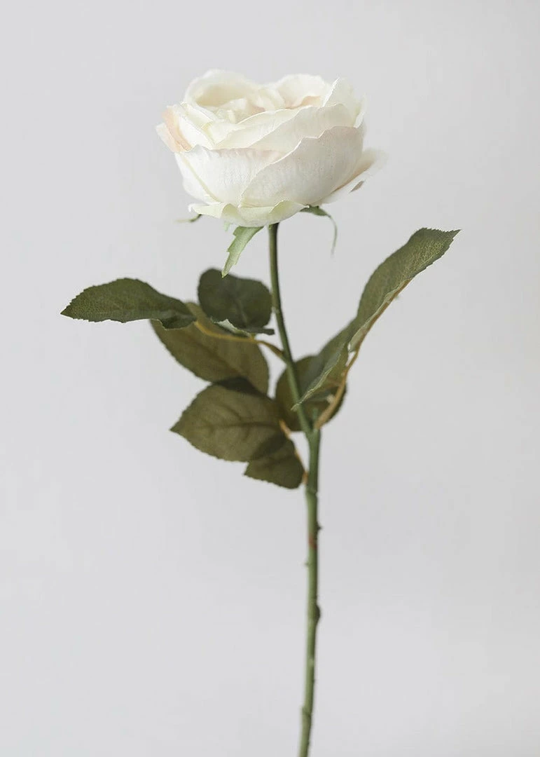 Afloral Eggshell Cream English Cabbage Rose - 25" Artificial Flowers