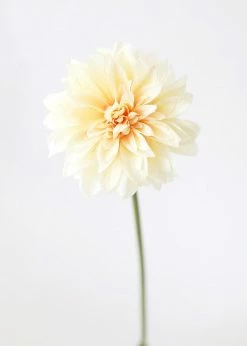 Afloral Dahlia Silk Flower In Yellow Peach - 19"