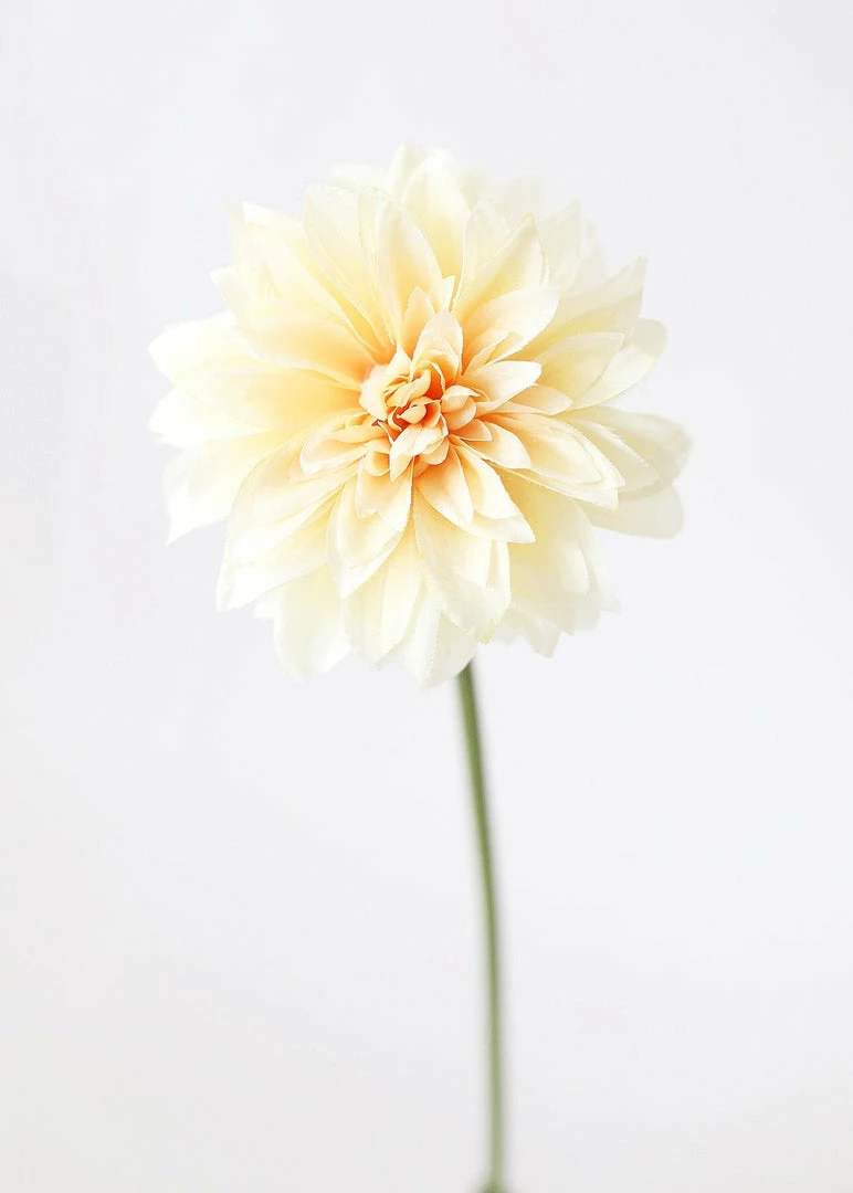 Afloral Dahlia Silk Flower In Yellow Peach - 19"