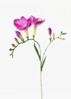 Afloral Fake Flower Freesia In Violet - 27