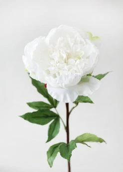 Afloral Natural Touch Peony In Cream White - 30"