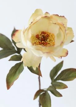 Afloral Vanilla Ivory Fake Peony Flower - 22