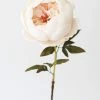 Afloral.com Artificial Flowers Artificial Peony Flower In Ivory - 24"